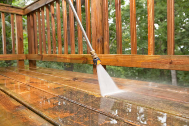 Animal Enclosure Cleaning in South Duxbury, MA